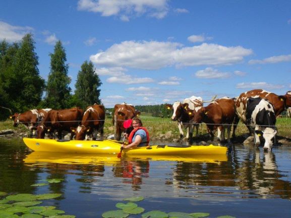 Activities at Svartå Manor - SE-Action